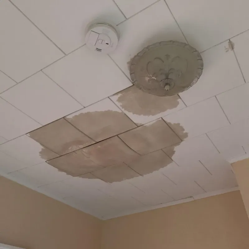 Ceiling Water Damage Repair in Cheat Lake, WV