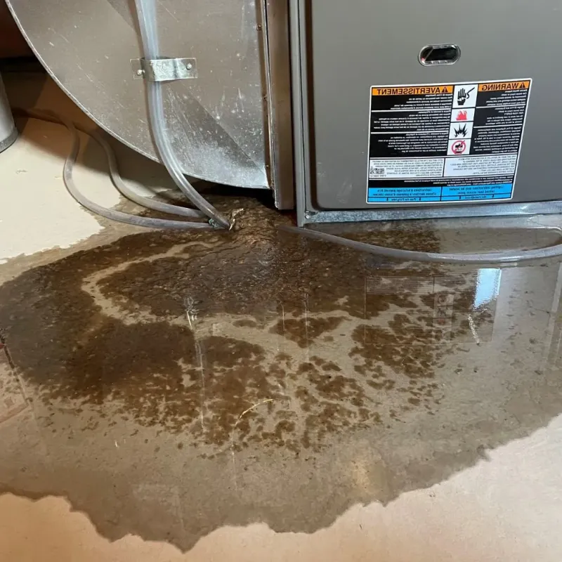 Pipe Burst and Leak Restoration in Cheat Lake, WV