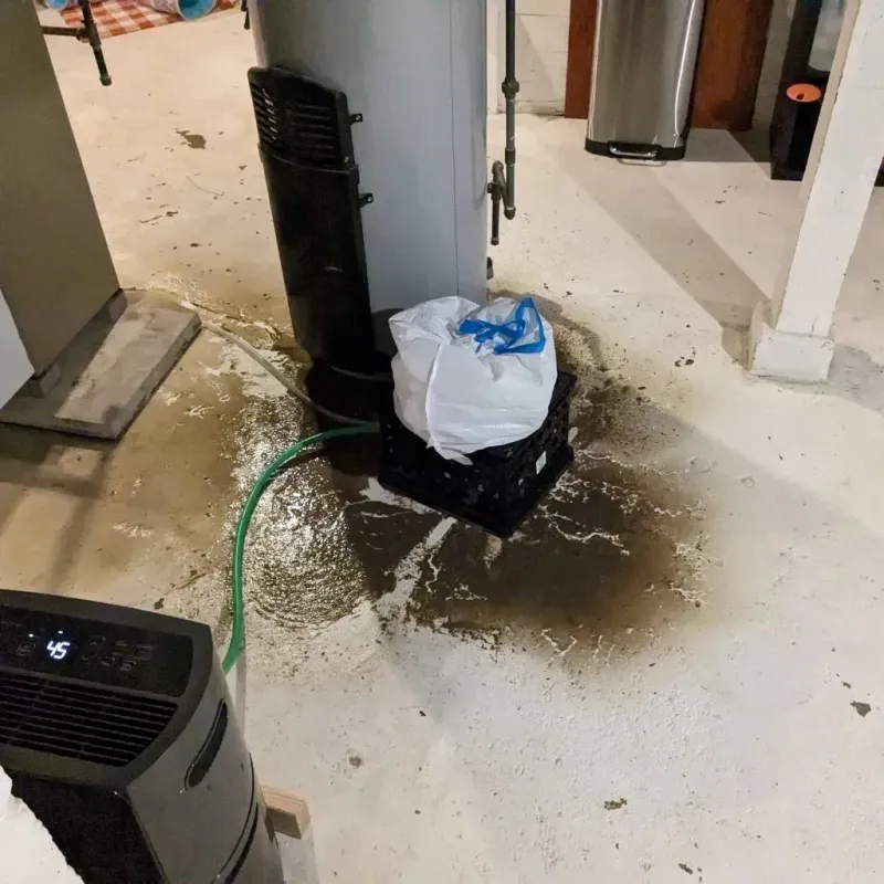 Sewage Backup Cleanup Service in Cheat Lake, WV